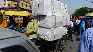 Waentransport im Bazar-Viertel Karol Bagh - Delhi: Land und Leute