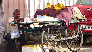 Moiler Verkaufsstand im Bazar-Viertel in Karol Bagh, Delhi - Delhi: Land und Leute