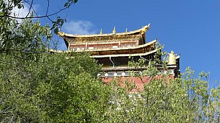 Blick auf die goldenen D&auml;cher des Guishan Tempels - S&uuml;d-Ost-Tibet: Sehensw&uuml;rdigkeiten