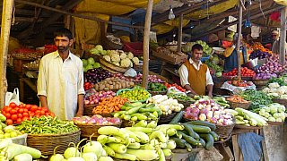 Bazar am Ufer des Dal See - Jammu & Kashmir: Land und Leute
