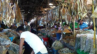Fischmarkt in Sittwe - West-Myanmar: Land und Leute