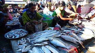 Fischmarkt in Sittwe - West-Myanmar: Land und Leute