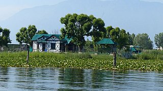 Idyllische kleine Inseln im Dal See - Jammu & Kashmir: Landschaft