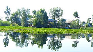 Insel im Dal See - Jammu & Kashmir: Landschaft