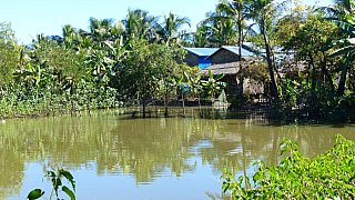 Im Fischerdorf Theigone - West-Myanmar: Land und Leute