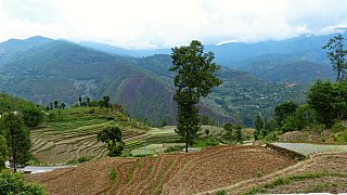 2015 - Ostnepal bei Maina Pokhari - Ost-Nepal: Landschaft