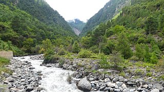 Hinauf in Richtung Mingyong Gletscher - S&uuml;d-Ost-Tibet: Landschaft
