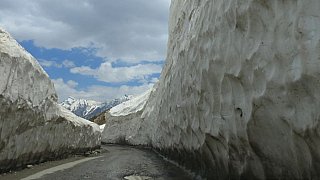 Haushohe Schneefelder kurz hinter dem Zoji La Pass - Jammu & Kashmir: Landschaft