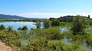 Flusslandschaft in West-Myanmar - West-Myanmar: Landschaft