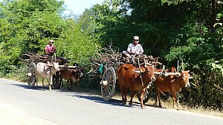 Stra&szlig;enverkehr in West-Myanmar - West-Myanmar: Land und Leute