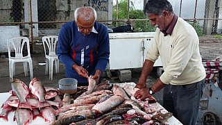 Fischmarkt in Bandar Anzali - Nord-Iran: Land und Leute
