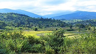 Chin-Berge auf der Fahrt nach Kampalet - West-Myanmar: Landschaft