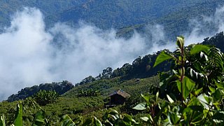 Chin-Haus am Berghang &uuml;ber dem Tal - West-Myanmar: Landschaft