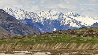 Tibetisch anmutendes Dorf zwischen Wiesen und dem schneebedeckten Nun- und Kun-Massiv - Zanskar: Landschaft
