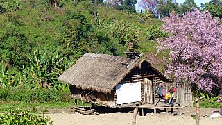 H&uuml;tte im Chin-Dorf am Fu&szlig; des Mt. Victoria - West-Myanmar: Land und Leute