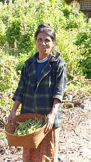 Chin-Dame - West-Myanmar: Land und Leute