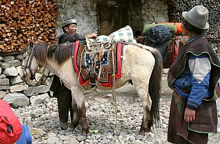 2006 - Fachkundiges Beladen der Packpferde - Zentral-Tibet: Land und Leute