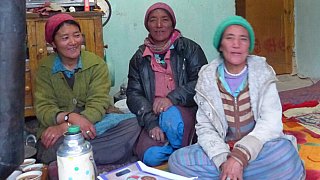 Zu Besuch im Homestay - Ladakh: Land-und-Leute