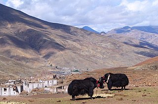 2006 - Blick auf Ngor Village und Ngor Valley - Zentral-Tibet: Land und Leute