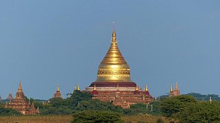 Bick &uuml;ber das Tempelfeld von Bagan - Zentral-Myanmar: Sehensw&uuml;rdigkeiten