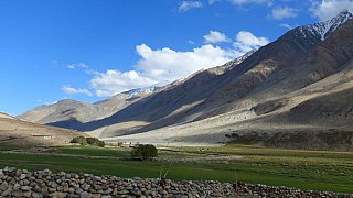 Oasenlandschaft im Hochgebirgstal in Ladakh - Ladakh: Landschaft
