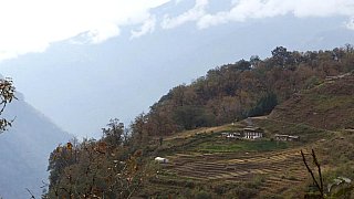 Geh&ouml;fft auf dem Weg von Punakha nach Gasa - Thimphu-Punakha: Landschaft