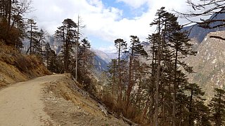 Piste in Richtung Norden - Thimphu-Punakha: Laya Trekking