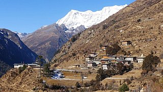 Tiger Mountain hoch &uuml;ber Laya - Thimphu-Punakha: Laya Trekking