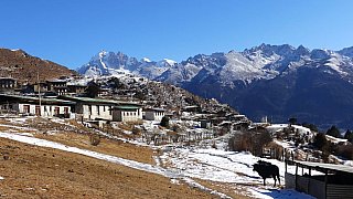 Ein weiteres Dorf in Laya - Thimphu-Punakha: Laya Trekking