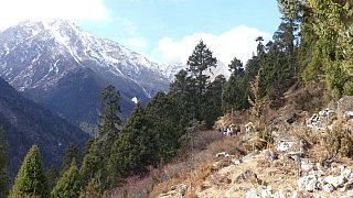 R&uuml;ckweg von Laya nach Koina - Thimphu-Punakha: Laya Trekking