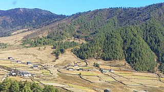 Blick &uuml;ber das Phobjikha-Tal - Zentral-Bhutan: Landschaft