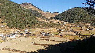 Dorf im Phobjikha-Tal - Zentral-Bhutan: Landschaft