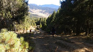 Wanderweg vom Shertang La Pass hinunter ins Ura-Tal - Zentral-Bhutan: Landschaft