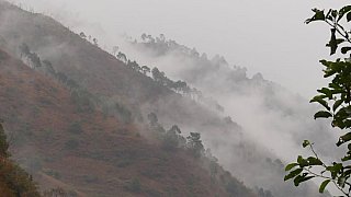 Nebelschwaden wabbern durch die T&auml;ler rund um Trashigang. - Ost-Bhutan: Landschaft