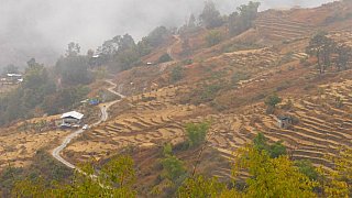 Terrassenfelder nahe der Ortschaft Radhi - Ost-Bhutan: Landschaft