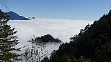 Eine Insel aus B&auml;umen in einem Meer aus Wolken - Ost-Bhutan: Landschaft