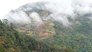 Geh&ouml;fte, Felder und Bergurwald - Ost-Bhutan: Landschaft