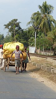 Streetlife mit vollbepacktem Handkarren - Streetlife in Indien