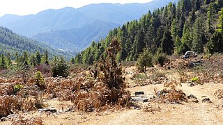 Landschaft in der N&auml;he des Dorfes Talung - Paro - Haa: Sage La Trekking