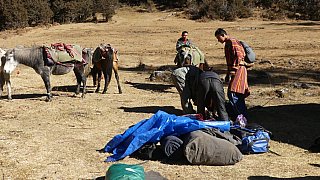 Abbau des Camps - Paro - Haa: Sage La Trekking