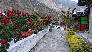 Payul Resort im Lhuentse-Tal in Autsho - Ost-Bhutan: Essen & Schlafen