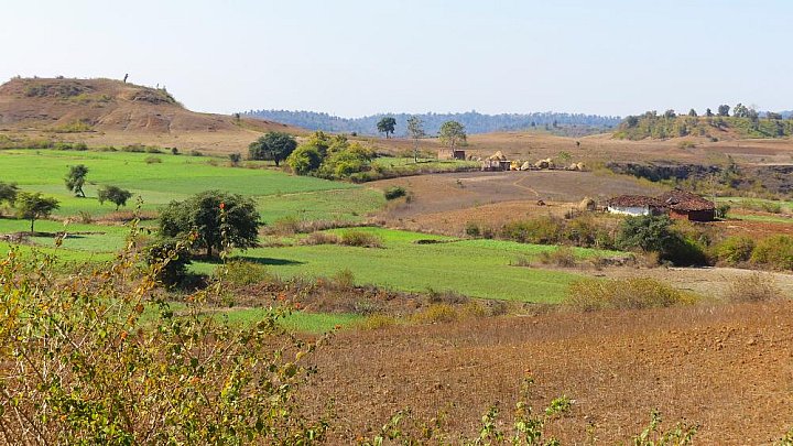 Fahrt durch das l&auml;ndliche Indien - Madhya-Pradesh: Landschaft