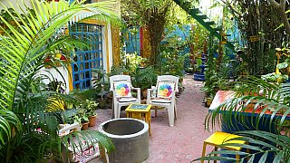 Garten des Corel House Homestay in Agra - Uttar Pradesh: Essen und Schlafen