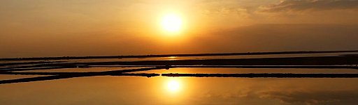 Sonnenuntergang &uuml;ber den Salzfeldern von Kutch - Gujarat - Flora und Fauna