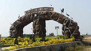 Vogelschutzgebiet Nal Sarovar See - Gujarat - Flora und Fauna