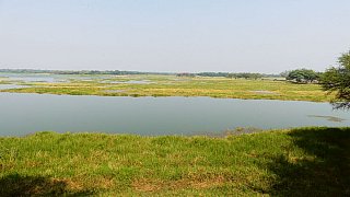 Thol Lake Vogelschutzgebiet - Gujarat - Flora und Fauna