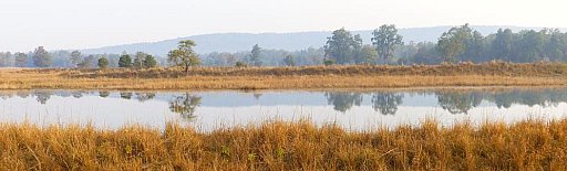 Seenlandschaft im Kanha Nationalpark - Madhya-Pradesh: Landschaft