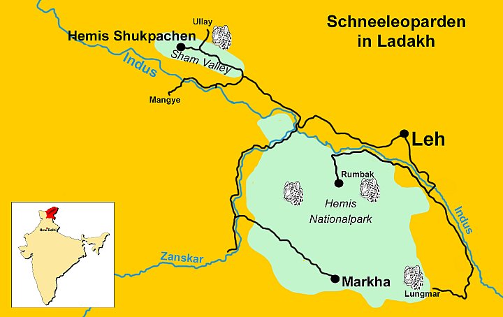 Schneeleoparden in Ladakh - IND-Blog-Bilder