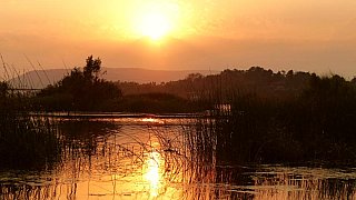 Sonnenuntergang am Fluss - Madhya-Pradesh: Landschaft