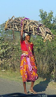 Holzsammlerin auf dem Weg nach Hause - Streetlife in Indien